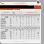 boxscore
