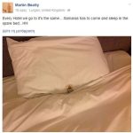 martin_beatty