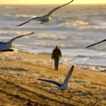 O καιρός αύριο στην Κρήτη και την υπόλοιπη Ελλάδα