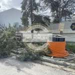 Οι ισχυροί νοτιάδες έριξαν δέντρο στη Βιομηχανική περιοχή του Ηρακλείου