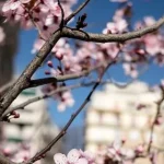 Τι καιρό θα κάνει την Πρωτομαγιά