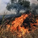 Χάρτης πρόβλεψης πυρκαγιών για αύριο – Κίτρινος συναγερμός για περιοχές της Κρήτης