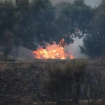 Πύρινη κόλαση στο Ρέθυμνο: Μάχη με τις φλόγες δίνουν 224 πυροσβέστες
