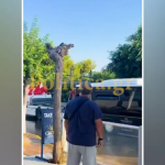 Αμμουδάρα: Λύματα πλημμύρισαν την Λεωφ. Ανδρέα Παπανδρέου όταν έσπασε αγωγός – Επί τόπου η ΔΕΥΑΜ