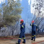 Σε επιφυλακή η Κρήτη: Στο κίτρινο η επικινδυνότητα για πυρκαγιά
