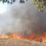Στο “κίτρινο” αύριο μεγάλο τμήμα της Κρήτης για τον κίνδυνο πυρκαγιάς